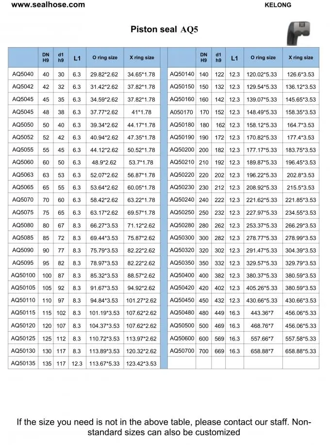 Carbon Filled PTFE Loaded Lip Seals Spring Energized C Seal Manufacturer 1